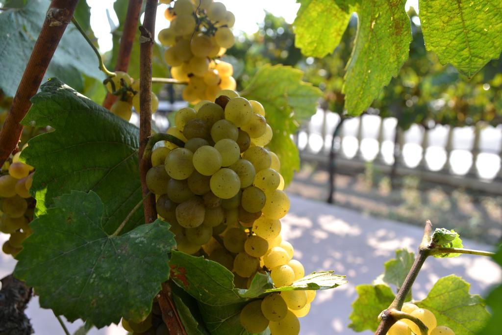 Chardonnay 3* Napa