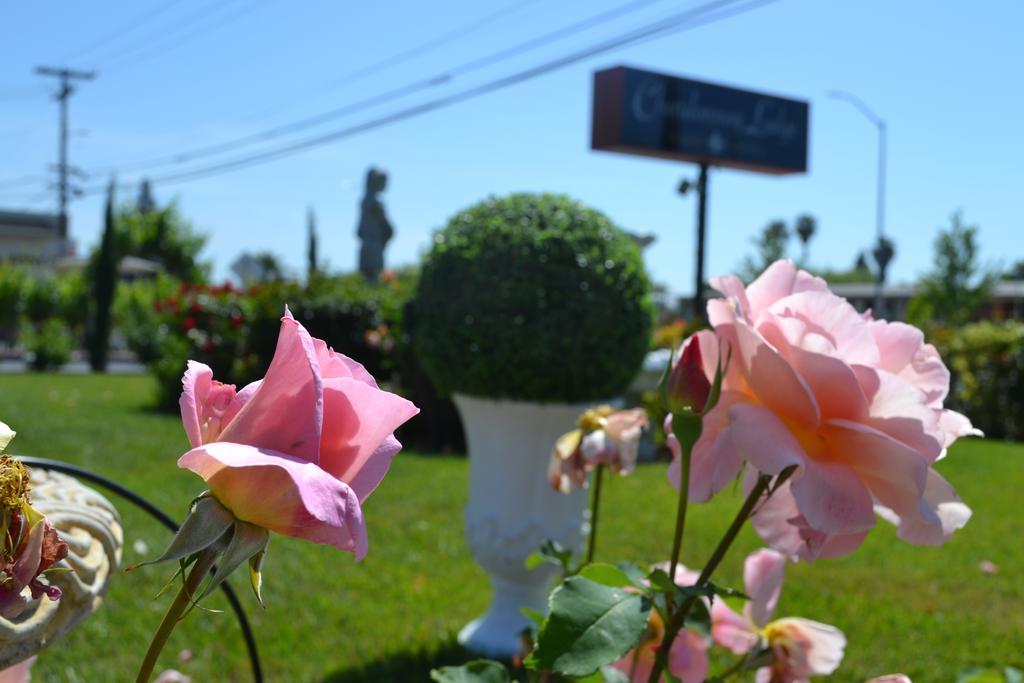 Hotel Chardonnay 3*